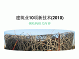 A024.建筑业10项新技术(2010)图片1