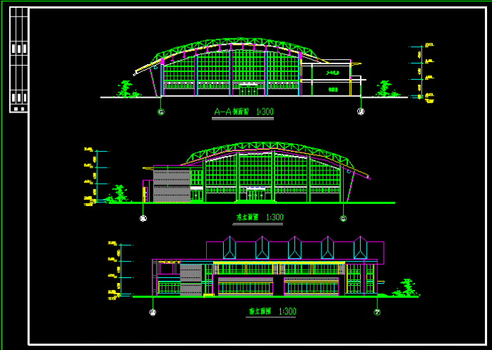 某学校二层体育馆建筑CAD方案设计图纸_图1