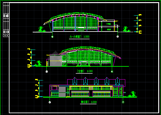 某学校体育馆建筑设计CAD施工方案图-图二