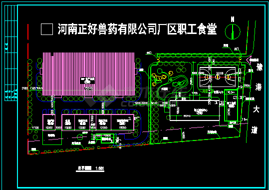 [河南]某工厂厂区职工食堂建筑cad施工设计图纸-图二