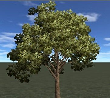 3D树木贴图-图一