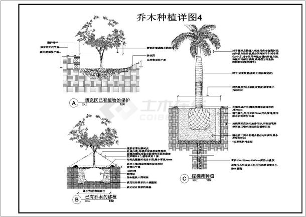 行道树种植设计平面图图片