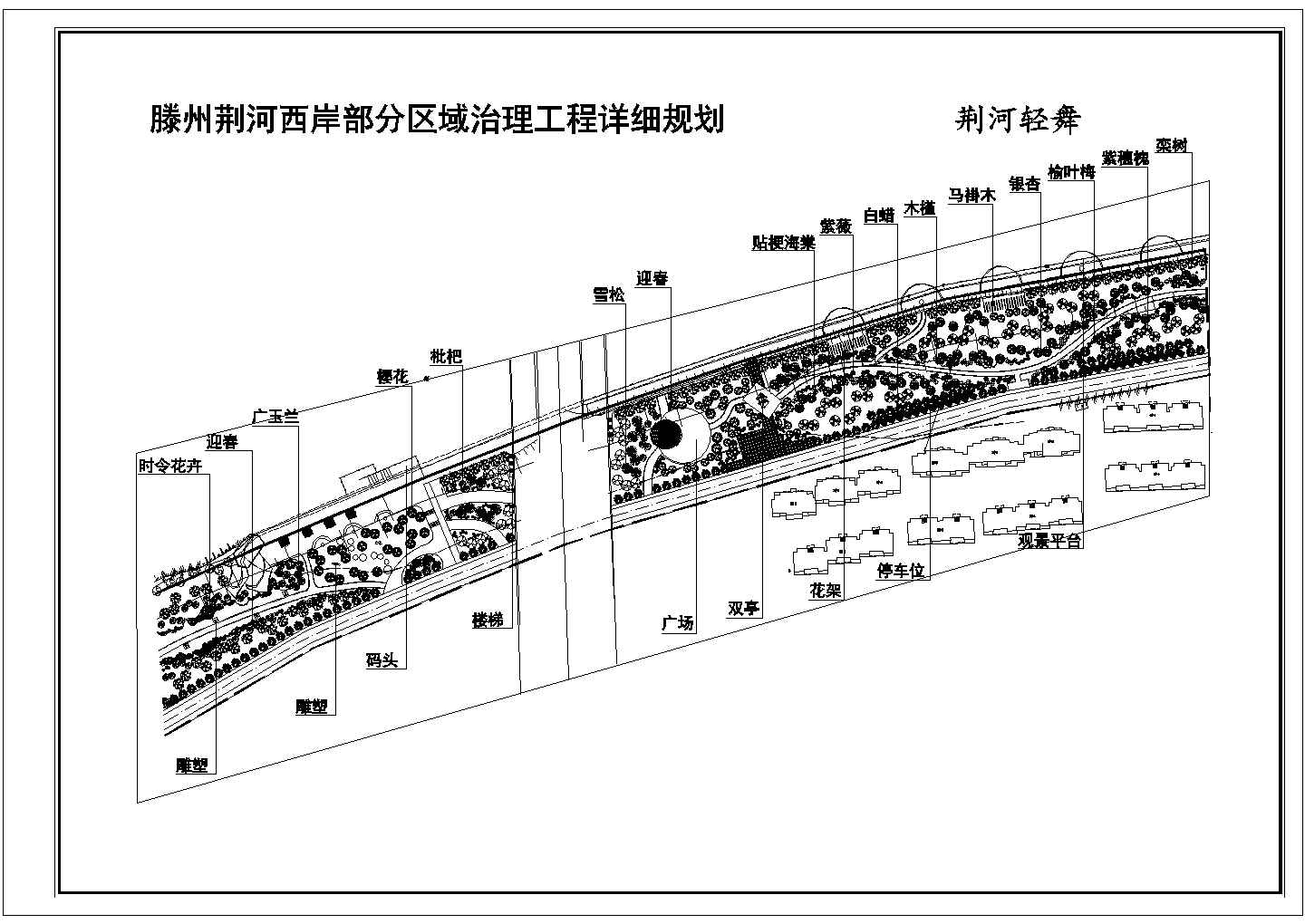 腾州市荆河两岸部分区域植物配置方案图