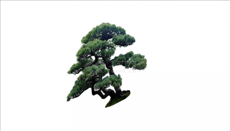 2D造型公园景观树su模型-图一