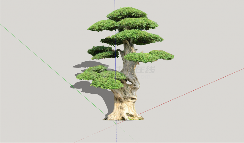 大型树干粗壮景观植物su模型-图二