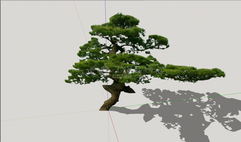 小型树干似鸟嘴植物景观su模型-图一