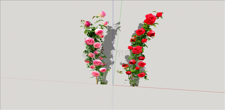 双株粉色和红色玫瑰su模型-图一