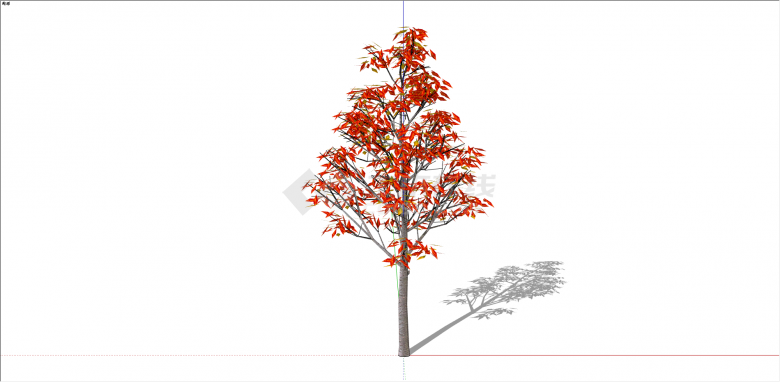 多种颜色树叶的红枫 su模型-图一