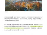 南京惠济寺遗址文化公园 感受穿越千年的禅意时光 AECOM.pdf图片1