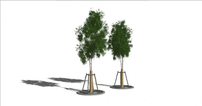 新中式两颗绿植对称景观植物su模型_图1