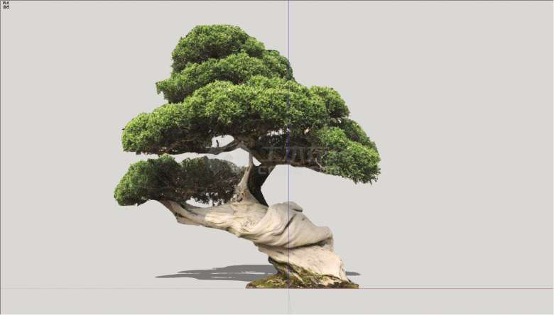 大型缠绕树干造型树su模型-图一