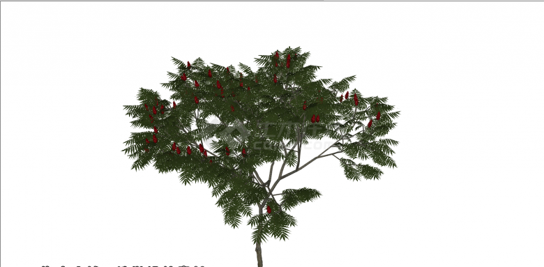 一颗枝繁叶茂的树木su模型-图二
