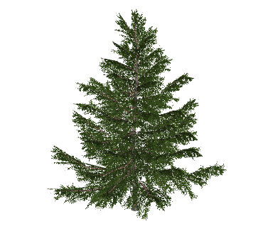 圣诞树绿叶植物树木su模型-图二
