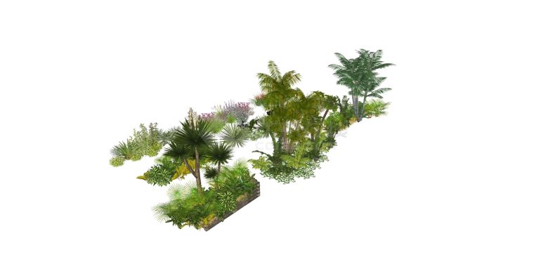 三列景观植物灌木组合su模型-图一