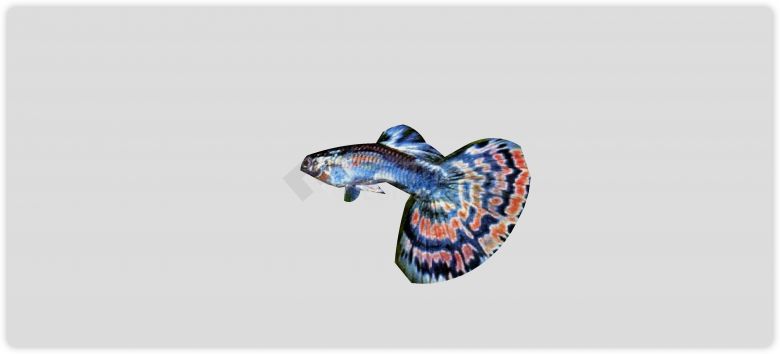 蓝色橙色花纹热带鱼水族馆鱼类动物组合su模型-图二