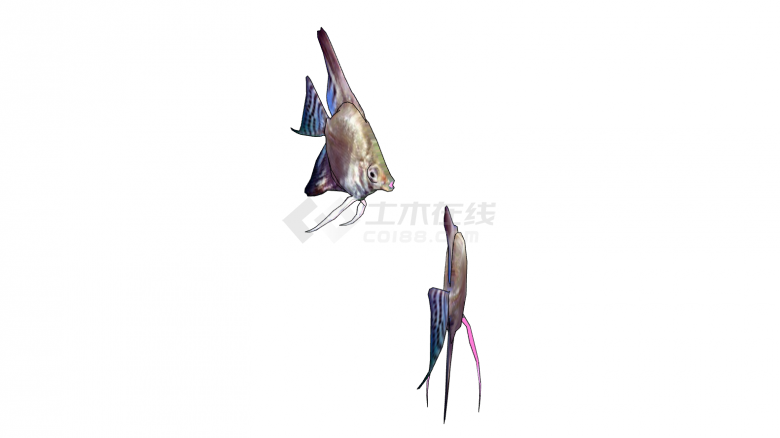 蓝紫花纹水族馆鱼类动物一对su模型-图二