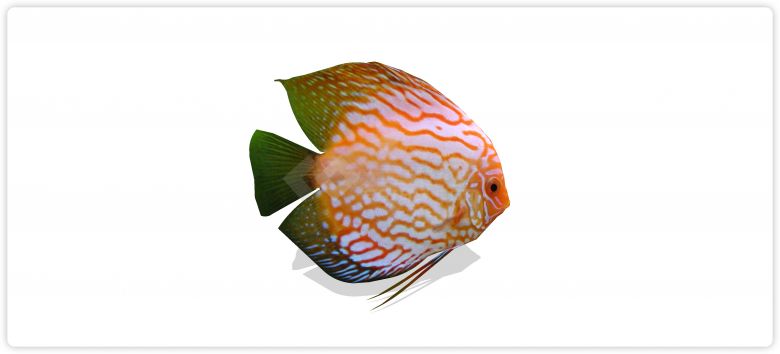 橙色热带鱼现代鱼雕塑小品su模型-图一