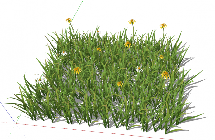 矩形小雏菊绿色是草坪su模型_图1