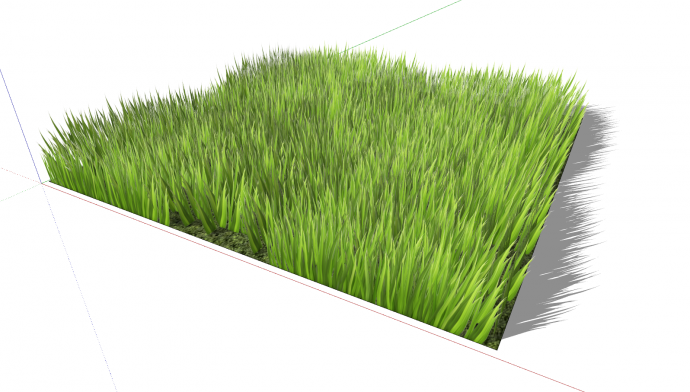 地被植物杂草正方形su模型_图1