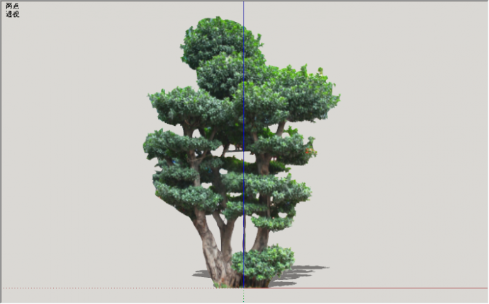 现代绿丝带造型树景观植物su模型_图1