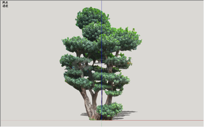 现代绿丝带造型树景观植物su模型-图一