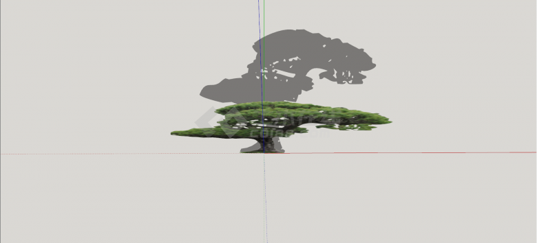 日本五须松造型松树组合su模型-图一
