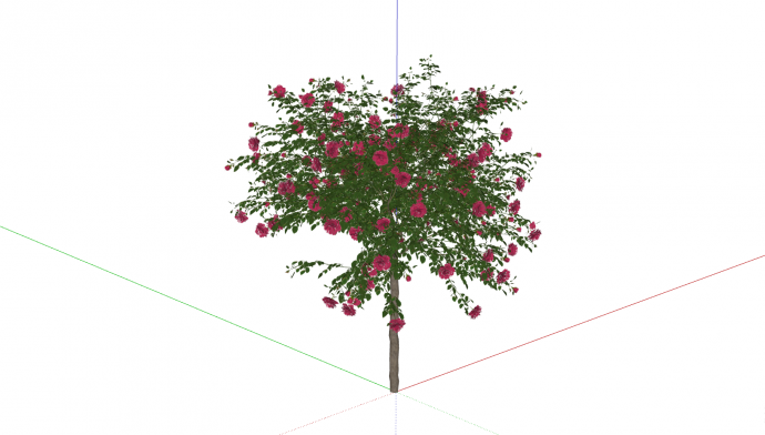  一颗茂密的树状的月季花 su模型_图1