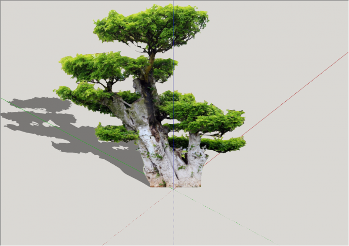 现代造型景观树植物su模型_图1