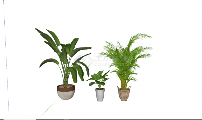 现代三款绿色绿植盆栽su模型-图二