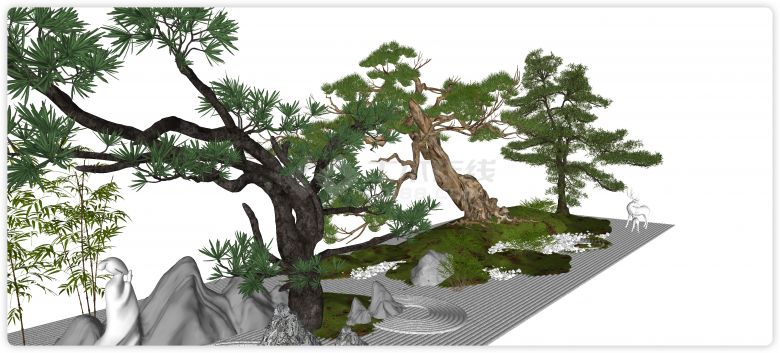 树形端正罗汉松造型树su模型-图二