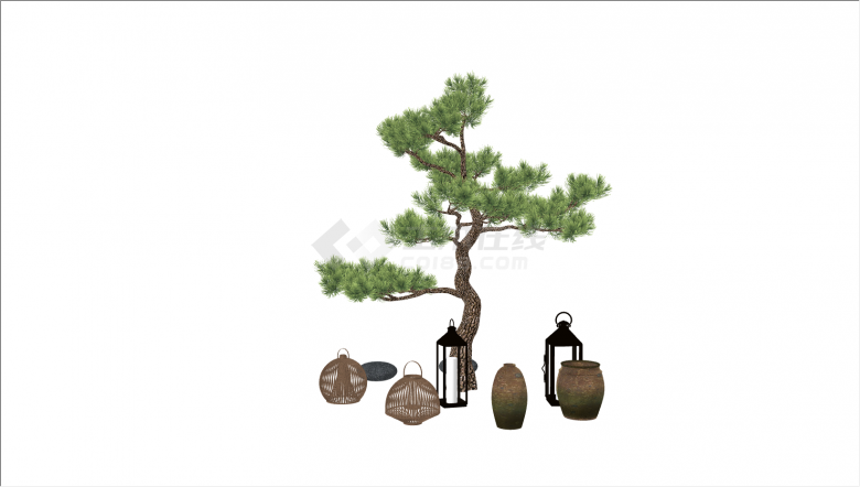 中式小型罗汉松造型树su模型-图一