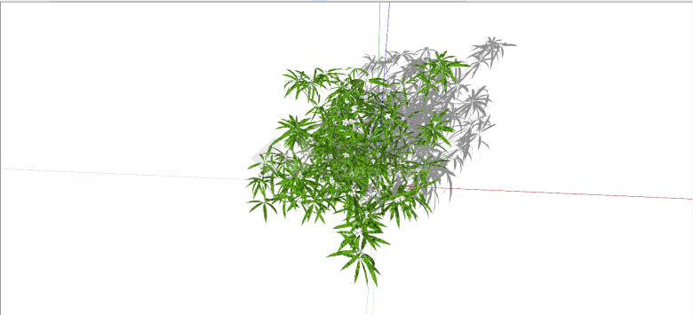 大麻科野麻绿色灌木su模型-图二