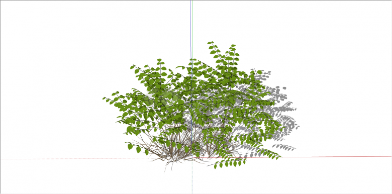 现代绿化灌木植物su模型-图二