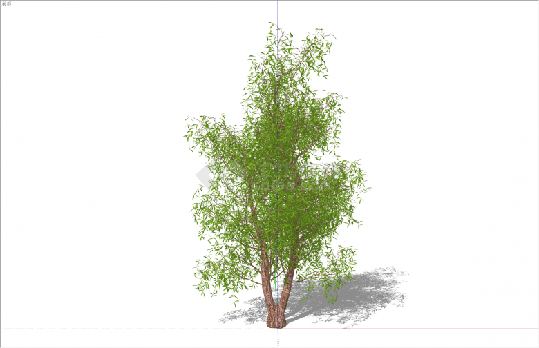 葱郁现代风格绿色乔木su模型-图一