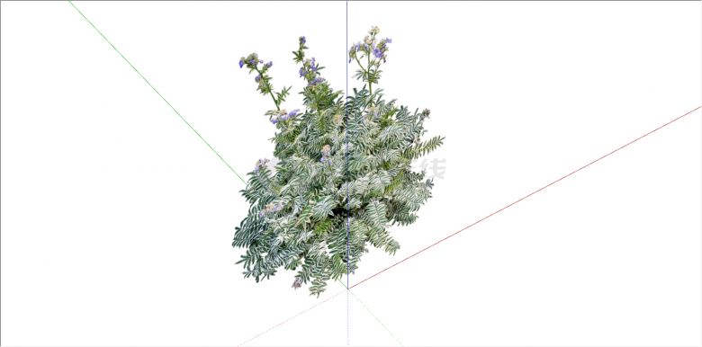 紫色花卉绿叶植物su模型-图一