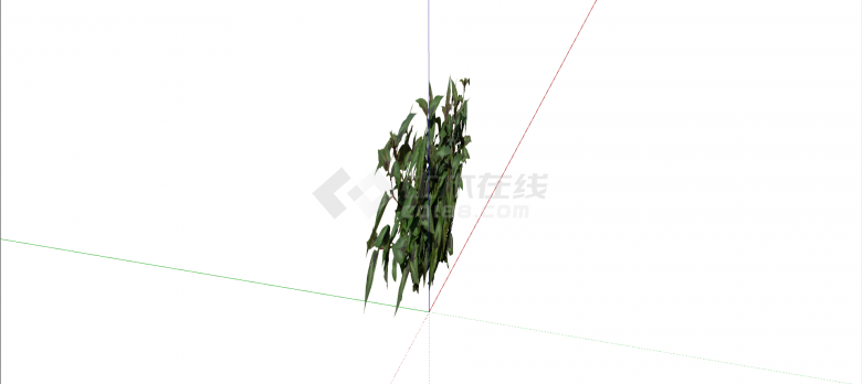 天南星科丝素藤常绿灌木su模型-图二