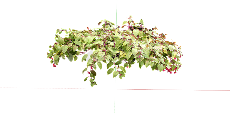 观赏性红绿双色系植物su模型-图二