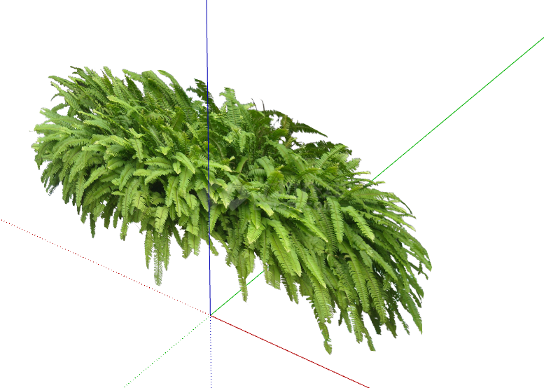 茂密的小树叶灌木花草 su模型-图二
