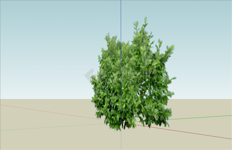 茂密含笑球矮树植物su模型-图二