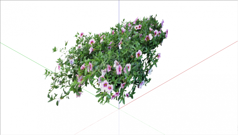 开有茂密小花的植物su模型-图二