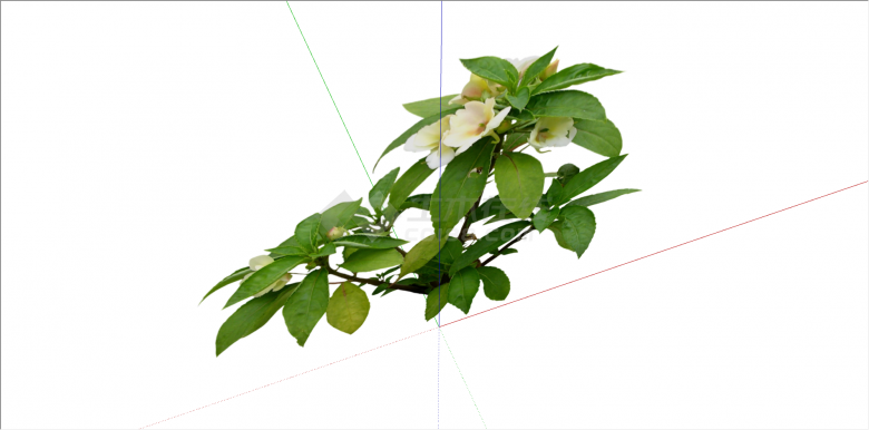 淡黄色系花卉植物su模型-图二