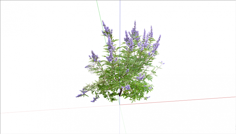开有紫色小花的茂密植物su模型-图二
