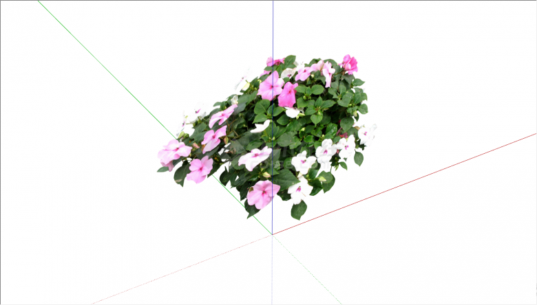 带有美丽小花的植物su模型-图二