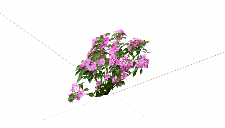 一棵开有紫色小花的植物su模型-图二