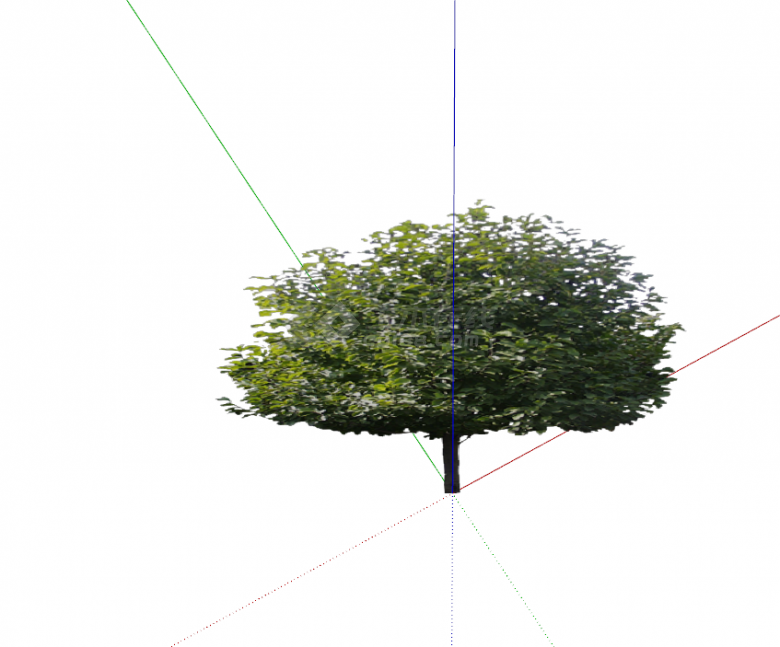 现代景观绿化树木su模型-图一