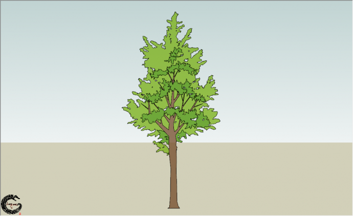 现代常绿景观树乔木su模型_图1