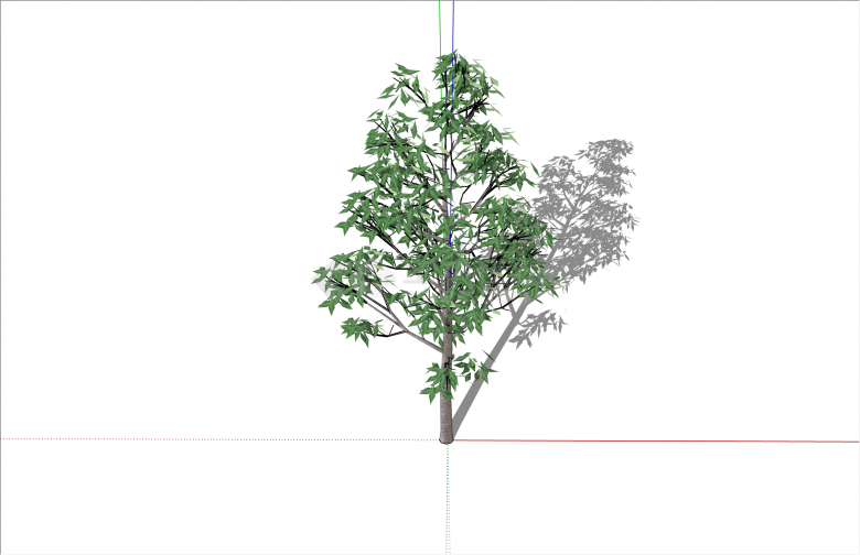 现代细长叶子绿色乔木su模型-图二