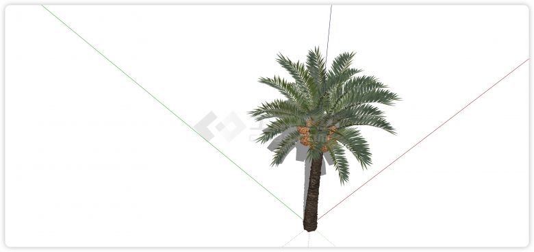 带果实棕榈树热带树su模型-图二