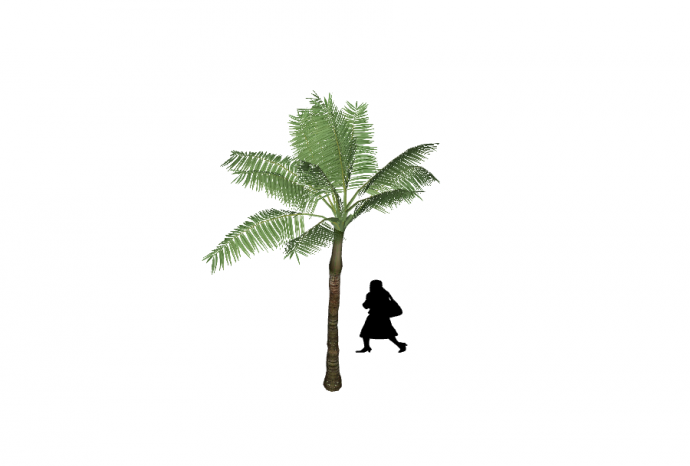 一颗热带树下站了一位女士su模型_图1