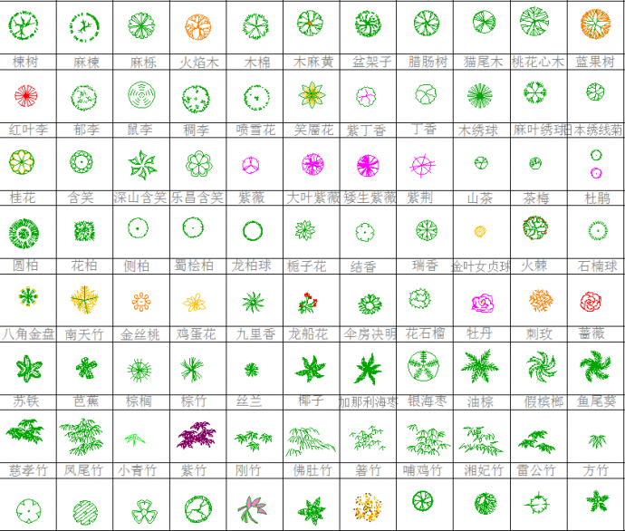 某地数百种平面树图例CAD图纸_图1